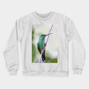 Green-crowned Brilliant hummingbird - Costa Rica Crewneck Sweatshirt